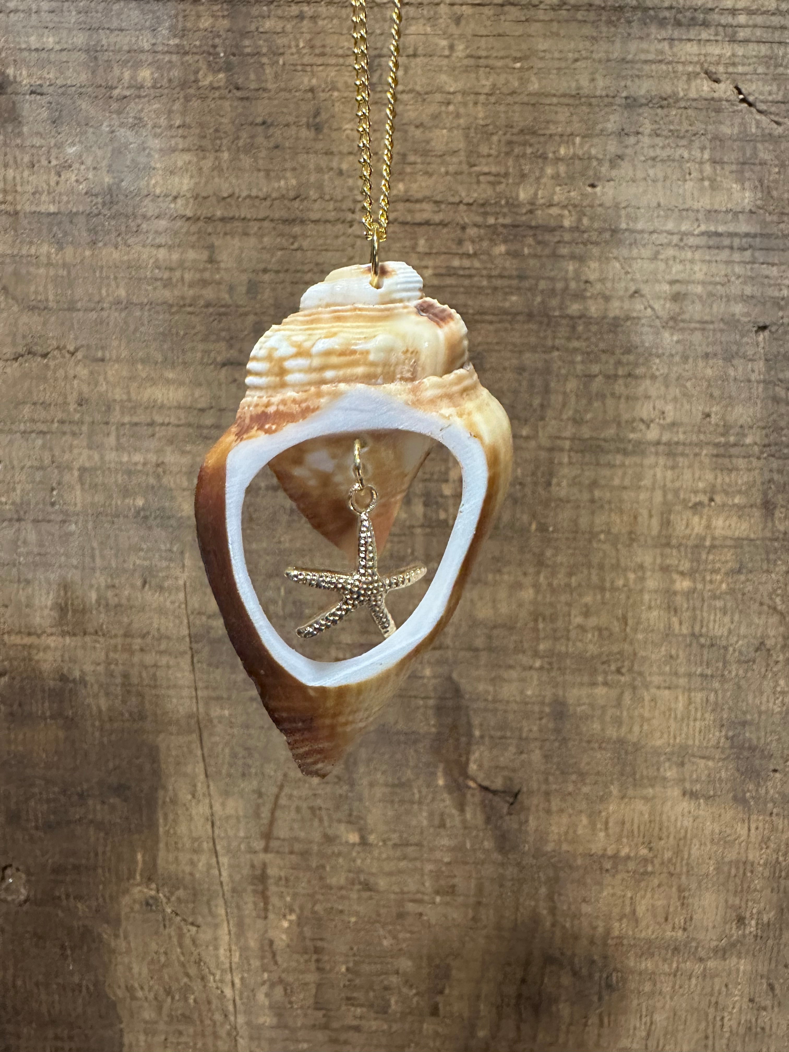 Seashell window pendant necklace