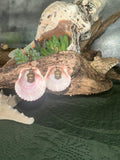 Pink sunrise buddha shell earrings