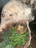 Seahorse shell necklace