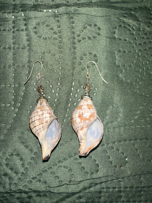Coastal spiral shell & sea turtle earrings
