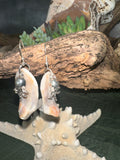 Blushing tide octopus shell earrings