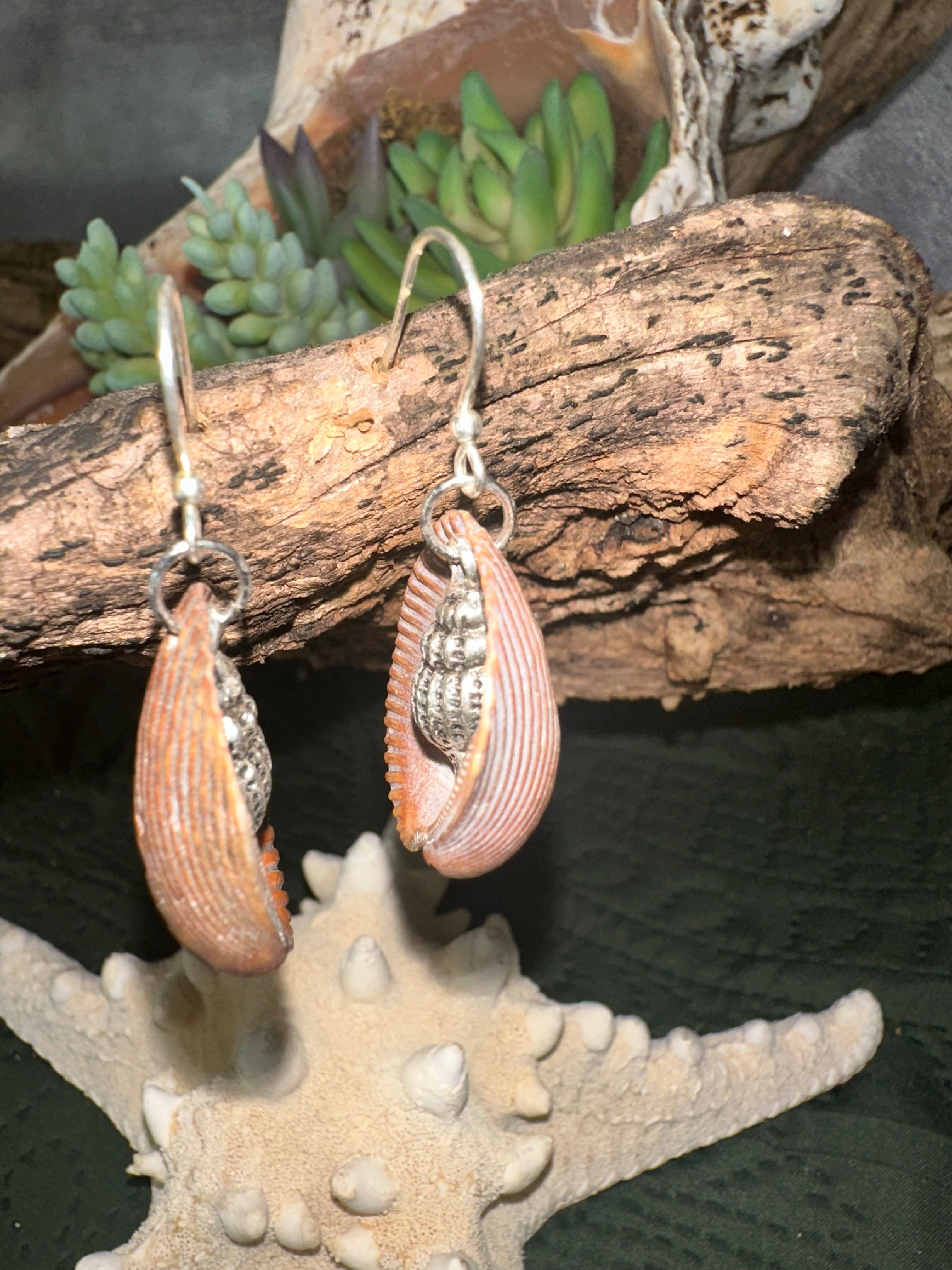 Tidepool treasure shell drop earrings