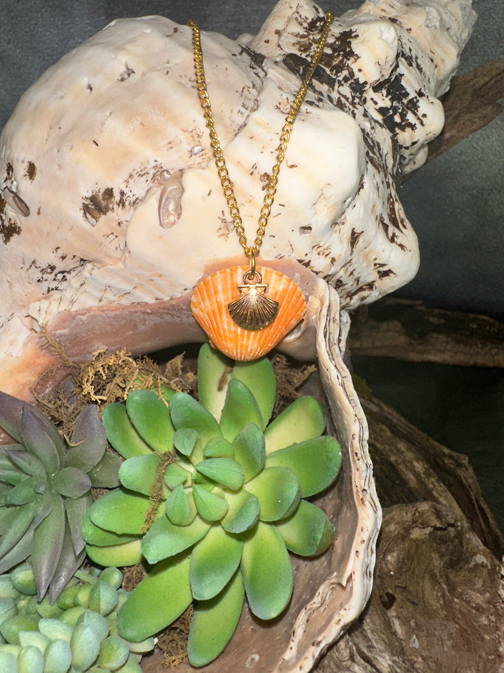 Sunset scallop shell gold coastal necklace